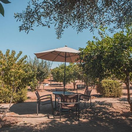 Hotel Castillo Ferrer Valle de Guadalupe Exterior foto