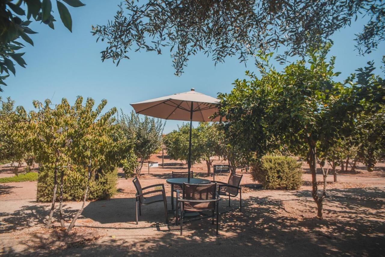 Hotel Castillo Ferrer Valle de Guadalupe Exterior foto